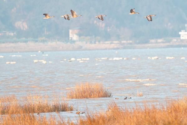 闽江河口湿地公园位置