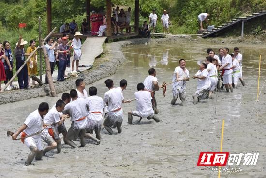 张家界首届民宿旅游文化节举行 吸引中外游客参与