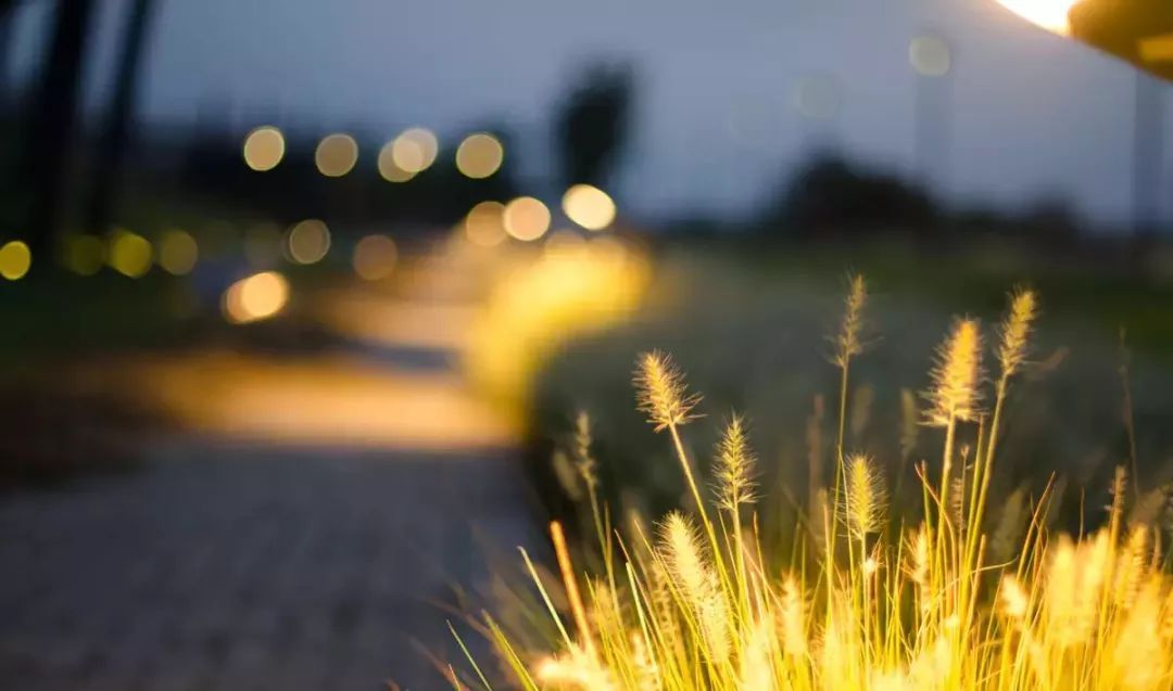 2019年两会热点:下调养老保险比例