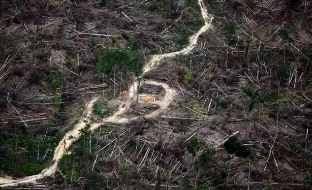 澳大利亚被烧了