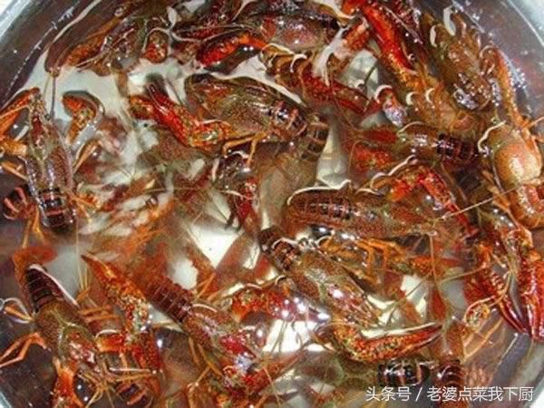 怎么样处理虾线 t011209eeb6da62a819.jpg