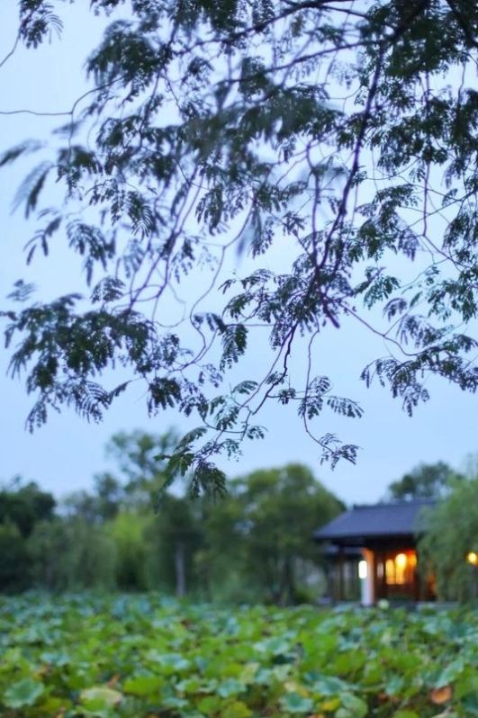 上海地址随便来一个