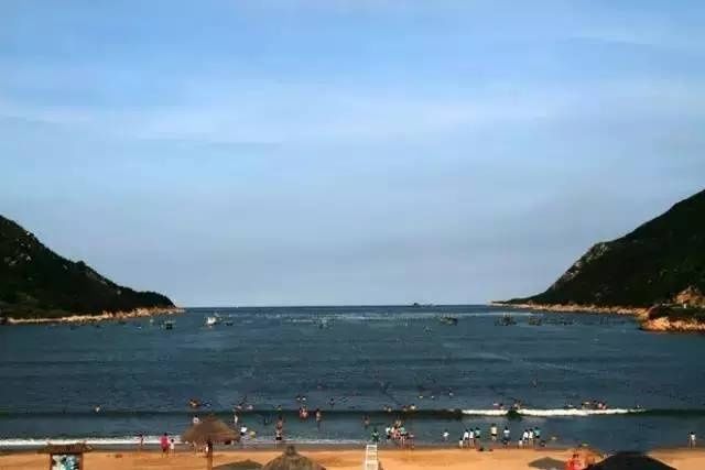 福鼎海鲜大全,认全了才是地道的海边人