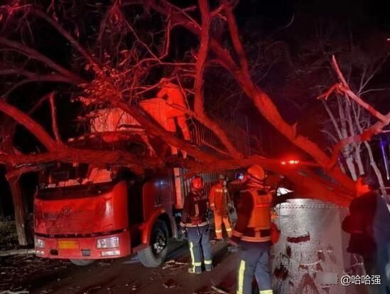 气象台发布什么信号