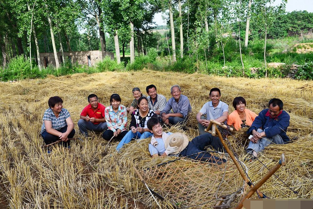 农村难得一见的“掠子”割麦，每刀最少割十六行，妇女根本挥不动