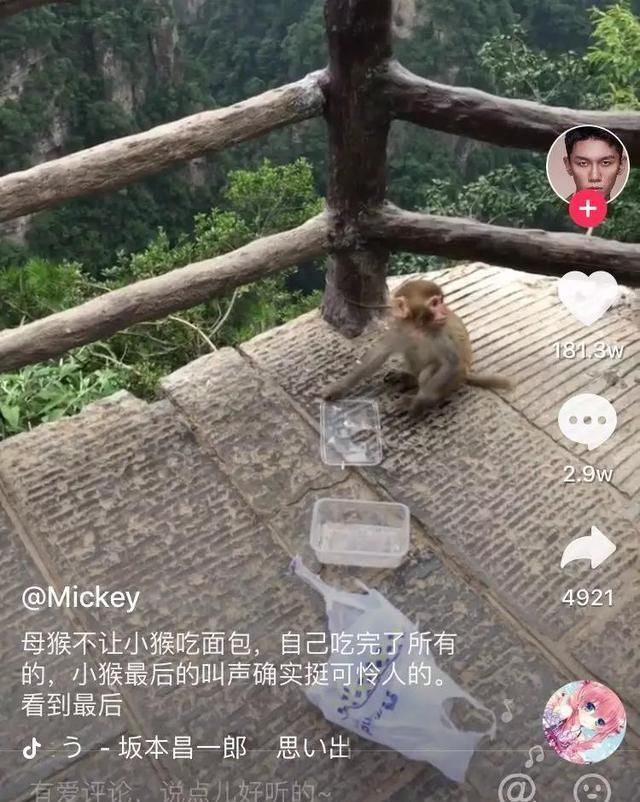 刷了好几天抖音点赞了