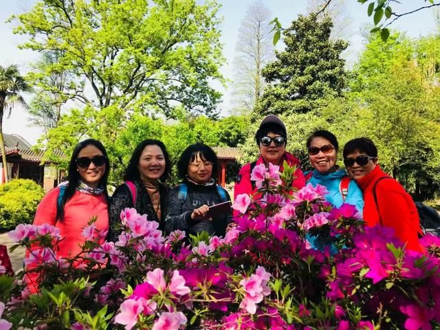 快乐周末:磨山赏花徒步、 游船观东湖美景、帆船运动体验