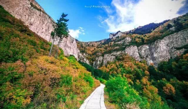 2019年共多少起地震