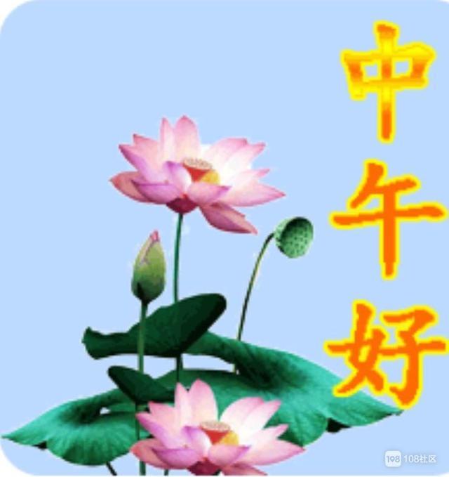 中午好,朋友!夏天天气热,注意防暑降温,好好爱