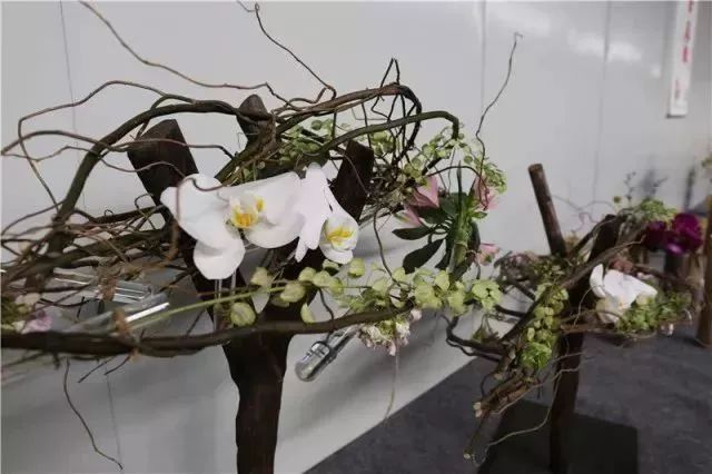 2018'花木节开幕!美丽花木为萧山人创造了40亿