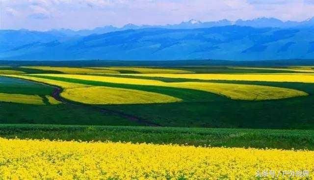 新疆十大旅游精品路线有你去过的吗?包括最美