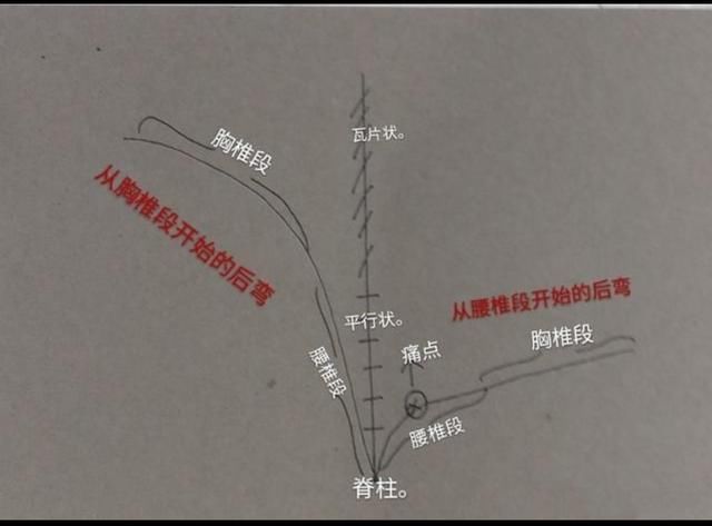 一次性告诉你如何用瑜伽前屈、后弯,侧弯体式