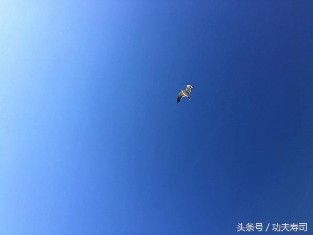 自由-任性的旅程越前海岸慢-享-秘境日本(十)