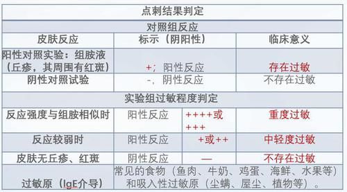 公司注册号是什么