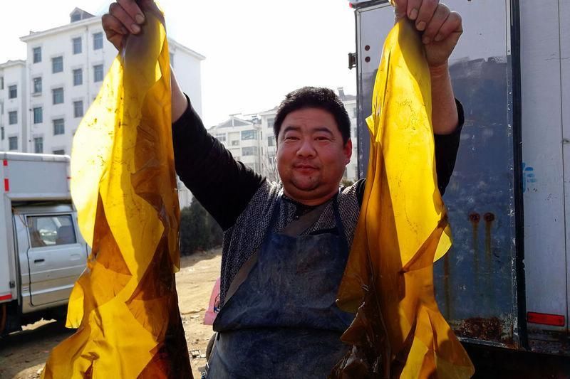 开凌梭统领青岛新春海鲜市场 海带也成主打海鲜 真正物美价廉