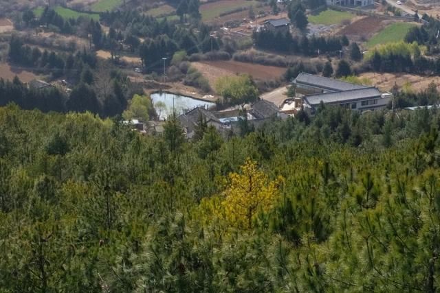 这座民宿位于玉龙雪山脚下第一村旁，是99％的游客都不知道的秘境