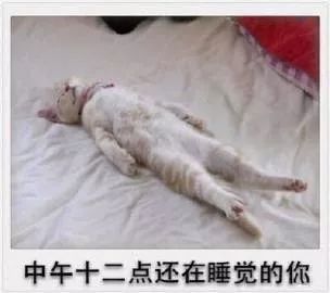 你的剩余假期被雨水承包了!还有一件扎心的事……