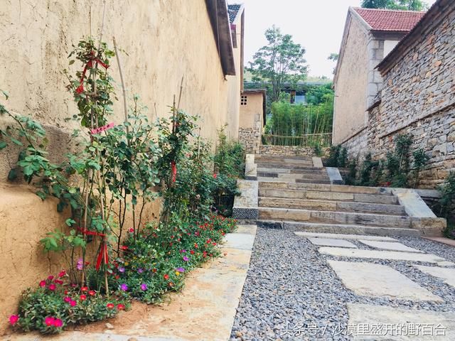 隐藏在大山深处的桃花源 石头房子石子路面 来