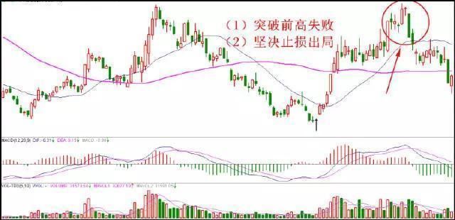 中国股市最大的“股灾”终于落下帷幕，机构从此将处在放大镜之下