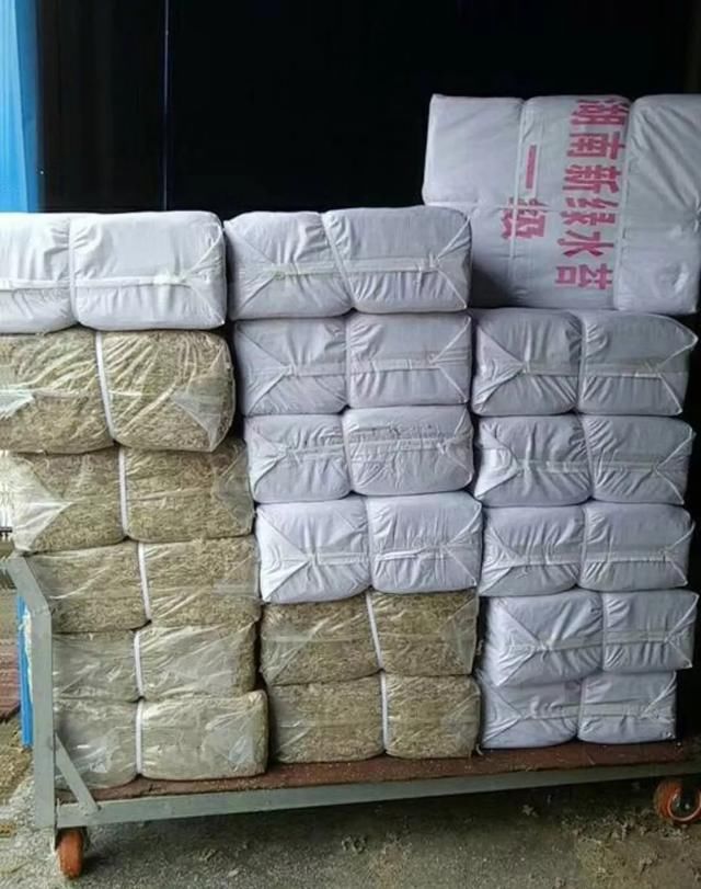 瑶乡致富新途径，种植水苔每亩年产值最高可达5000元