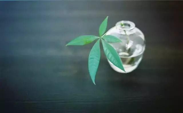 现在90后的中国年轻人