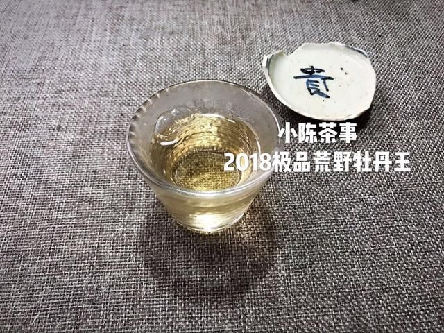 这三个以讹传讹，道听途说的白茶言论，看完你还相信吗？