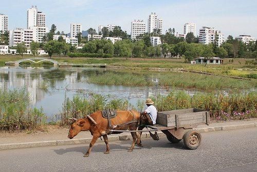 美国网民问：去朝鲜旅游是一种怎样的体验？