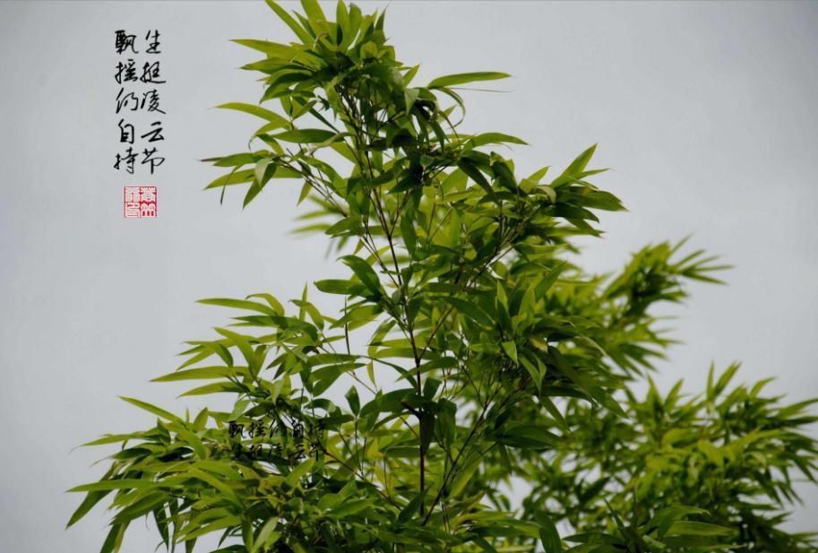 算命都说:三大生肖财运最好，即日起横财天降，转运翻身变富翁!