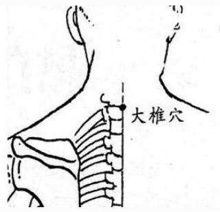 【每日一穴】快速振奋一身之阳气--大椎穴!