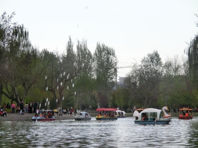 来兰州植物园，享受绿水春光带来的舒适感