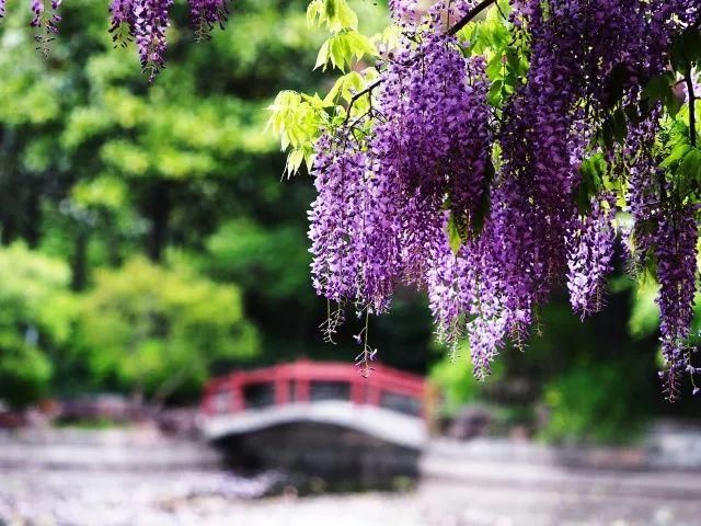 你家的盆栽到啦！快来领取！