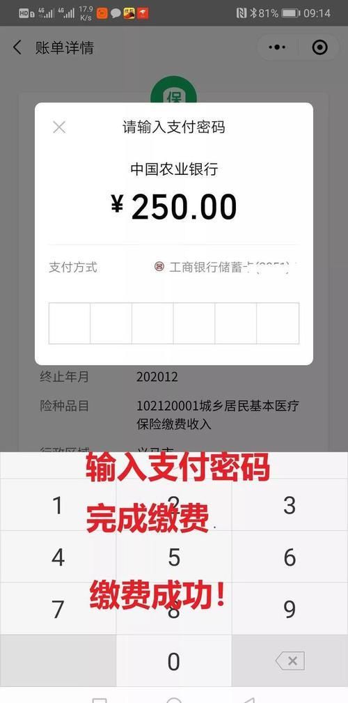 城乡居民医保怎么缴纳