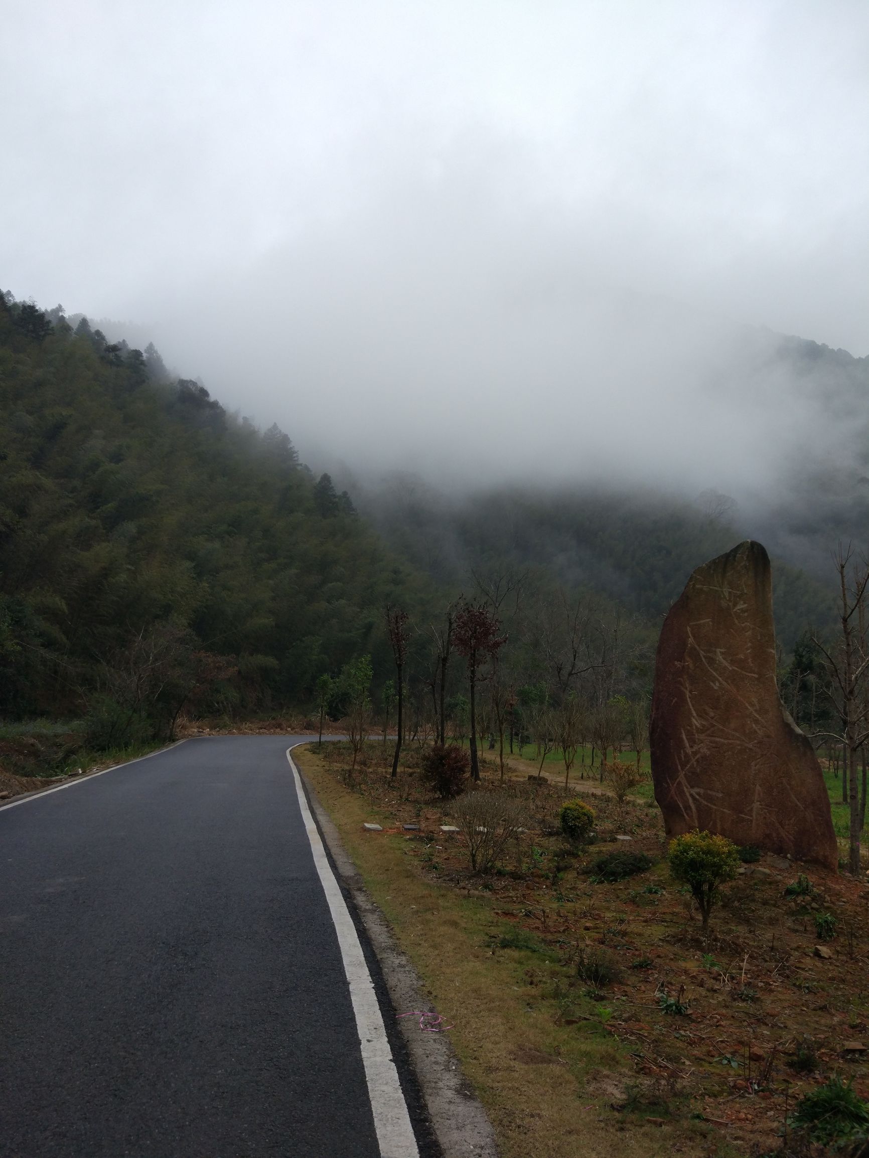 心情很烦很郁闷的时候,带你去看看美景