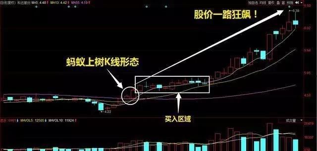 一旦出现“蚂蚁上树”形态,马上满仓介入,涨停板手到擒来!