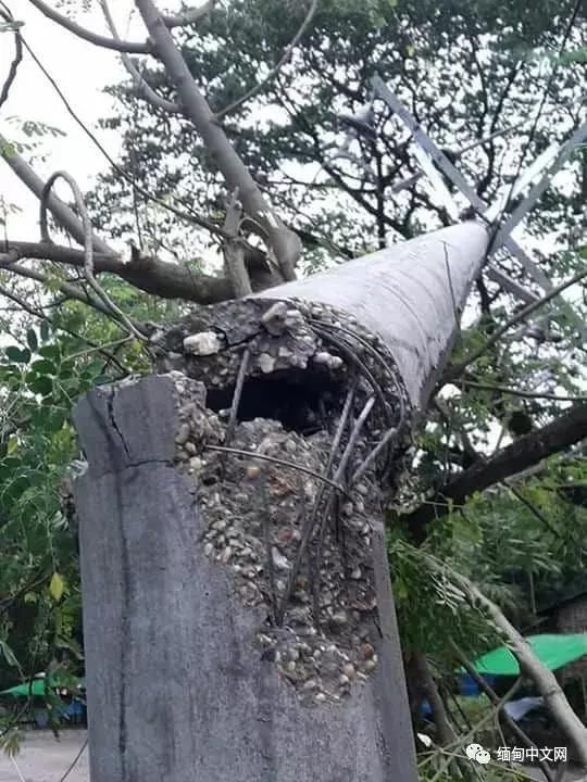 大风大雨太猛烈了！雨后的缅甸很受伤！