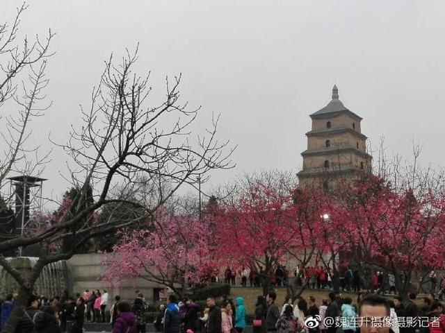 《西安年-最中国》西安大唐不夜城盛景展演