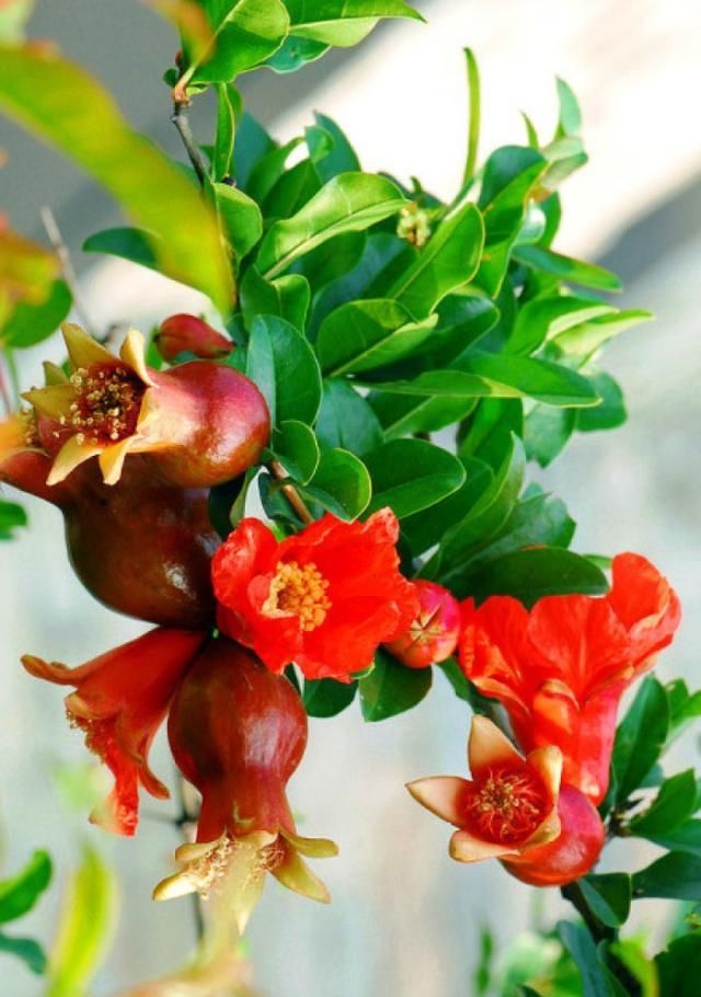 人都是感悟句子