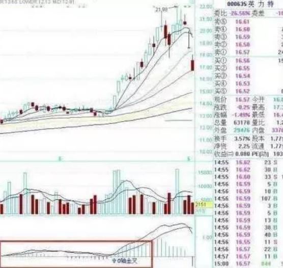 关于MACD，这是我见过讲得最详细的文章!