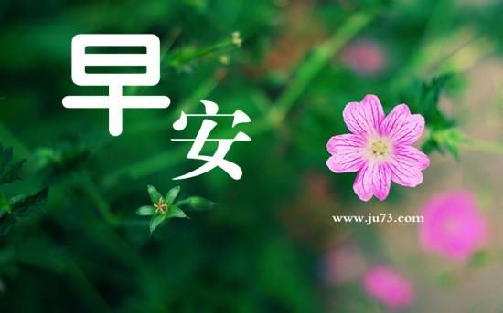 唯美早安心语简短句子,2018正能量一句话说说