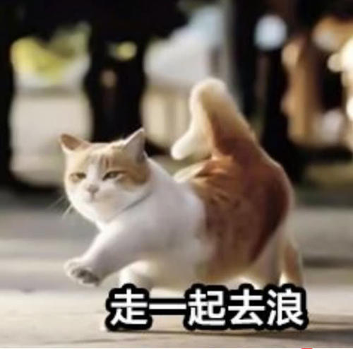 重要通知,萌猫表情包已经上线了,请听到广播后