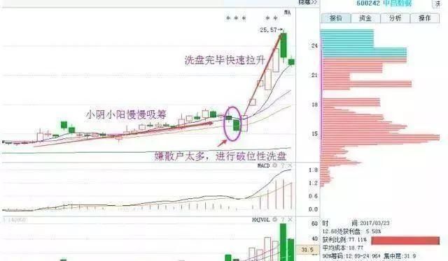 中国股市闹了个大笑话，大批严重亏损股民集体退市，A股怎么了？