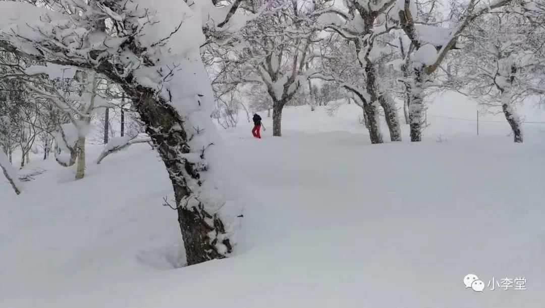 带着雪板去旅行，带着画本去滑雪