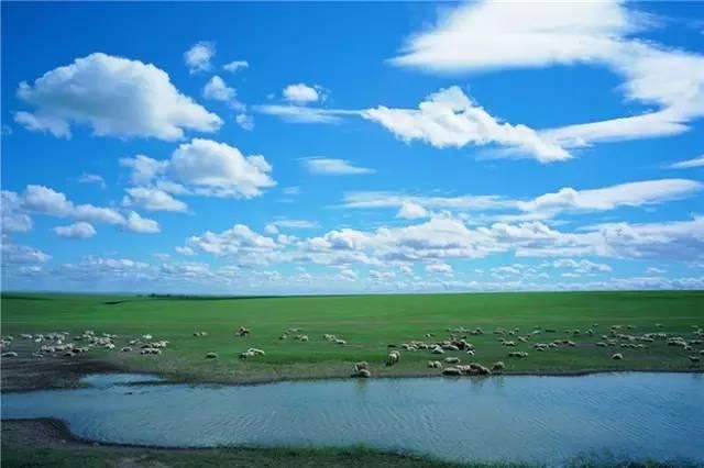 最后一片净土呼伦贝尔大草原,那里有清新的空气