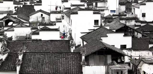 知识｜庭院设计，你知道多少？