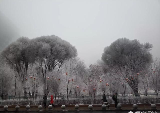 银装素裹的“雾”鲁木齐，别有一番风景！