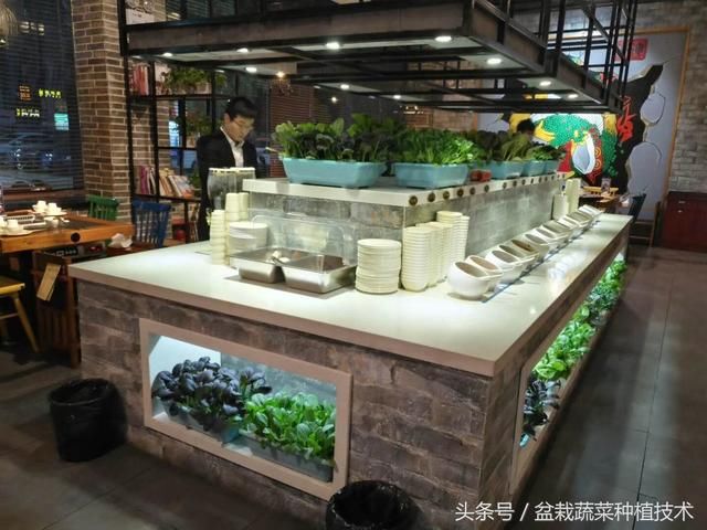 江苏这么多酒店为什么都在大厅摆放盆栽蔬菜，现吃现摘