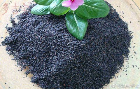 头发越爱越少 快试试这些食疗方法吧