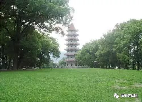 2019漳平信息网春节大拜年视频征集活动开始