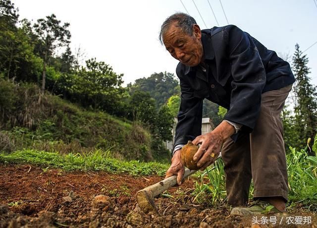 农民未来如何养老?宅基地换18万养老金“以地养老”你愿意吗?