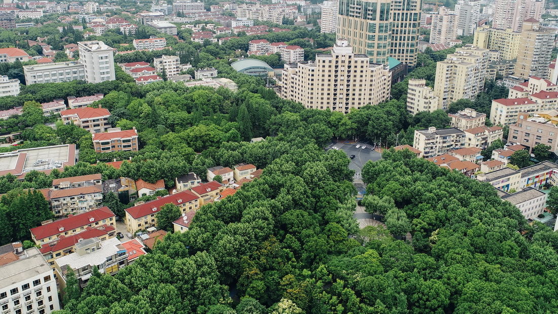 上海中心城区规模最大优秀历史建筑最多的衡复